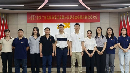 凝心聚力谋发展 党建引领谱新篇 | BG视讯集团党委和纪委圆满实现换届选举工作